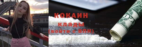 спиды Богданович