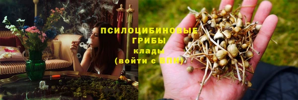 мескалин Богородицк