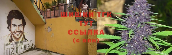 мескалин Богородицк