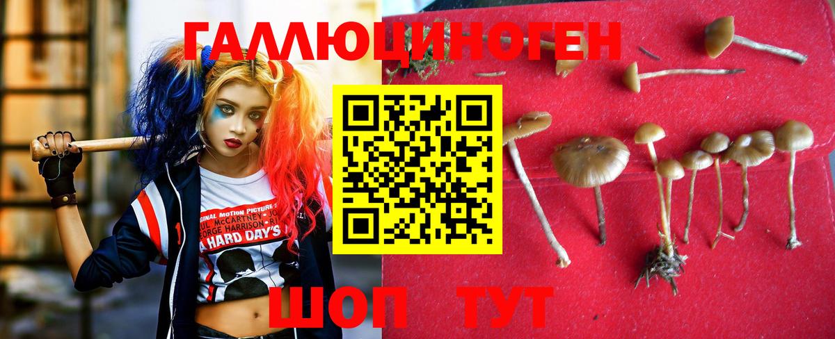 Среднеуральск  Галлюциногенные грибы мухоморы  Вход с VPN 